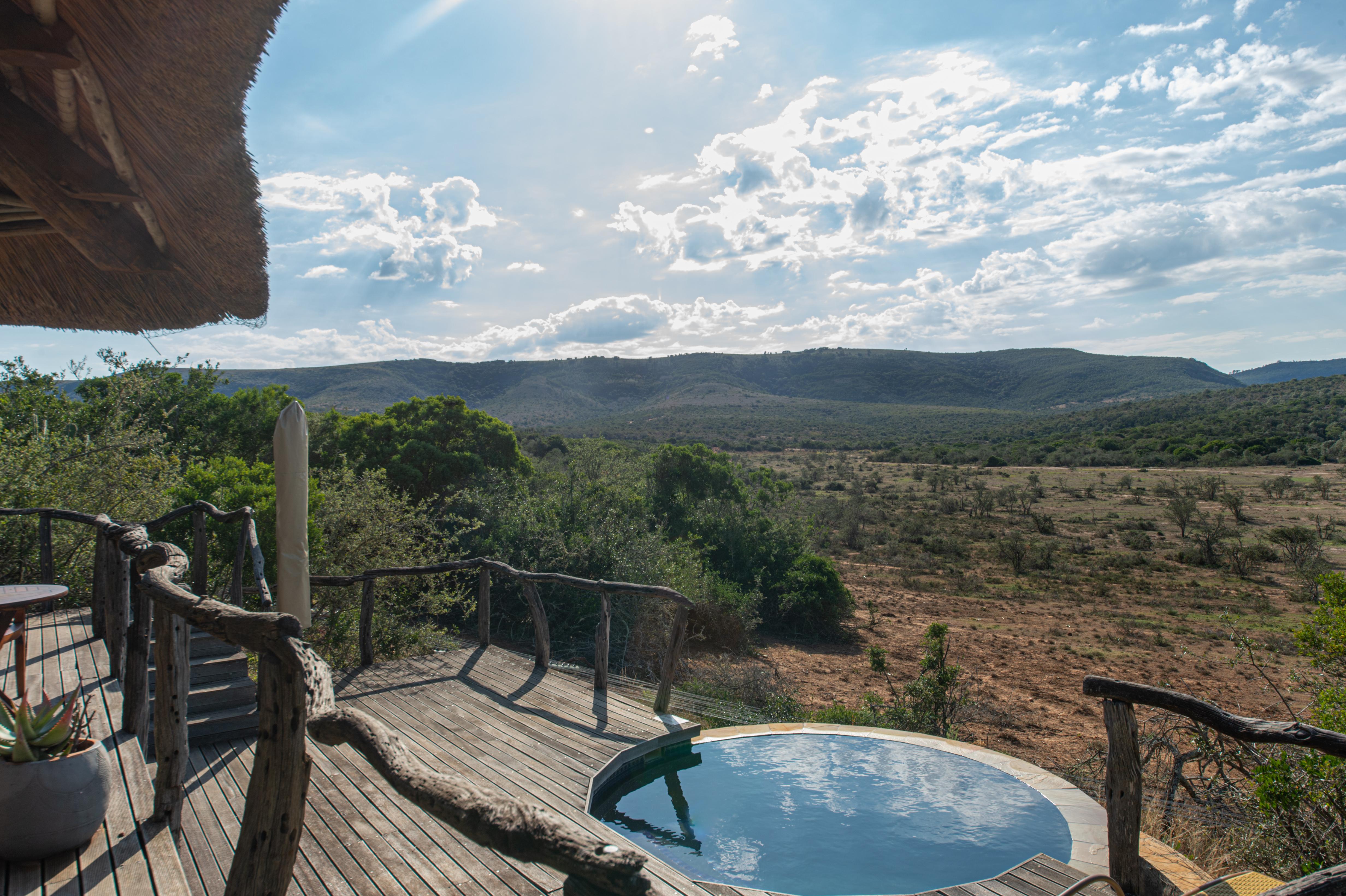 Pumba Private Game Reserve Port Elizabeth Dış mekan fotoğraf