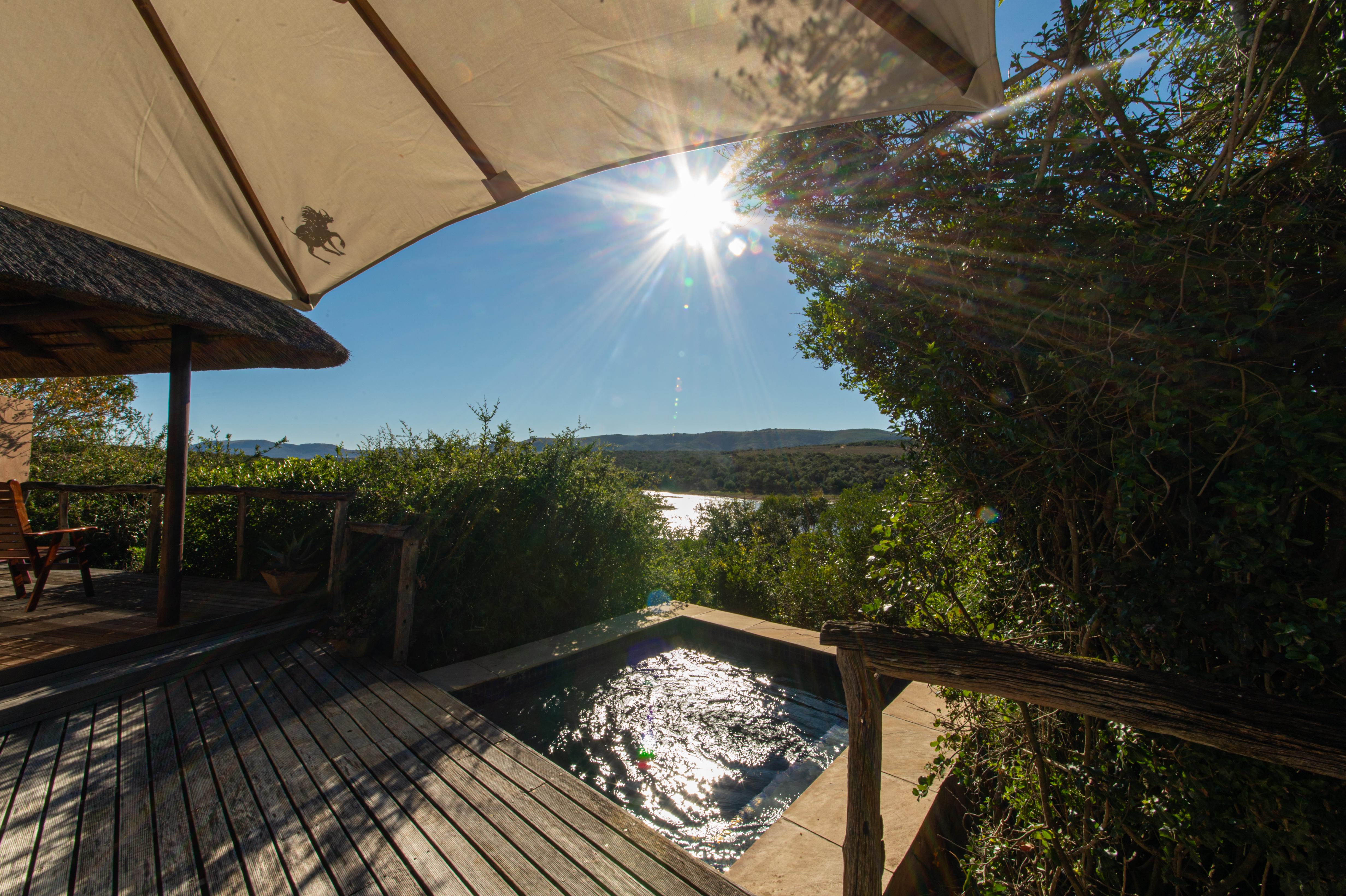 Pumba Private Game Reserve Port Elizabeth Dış mekan fotoğraf