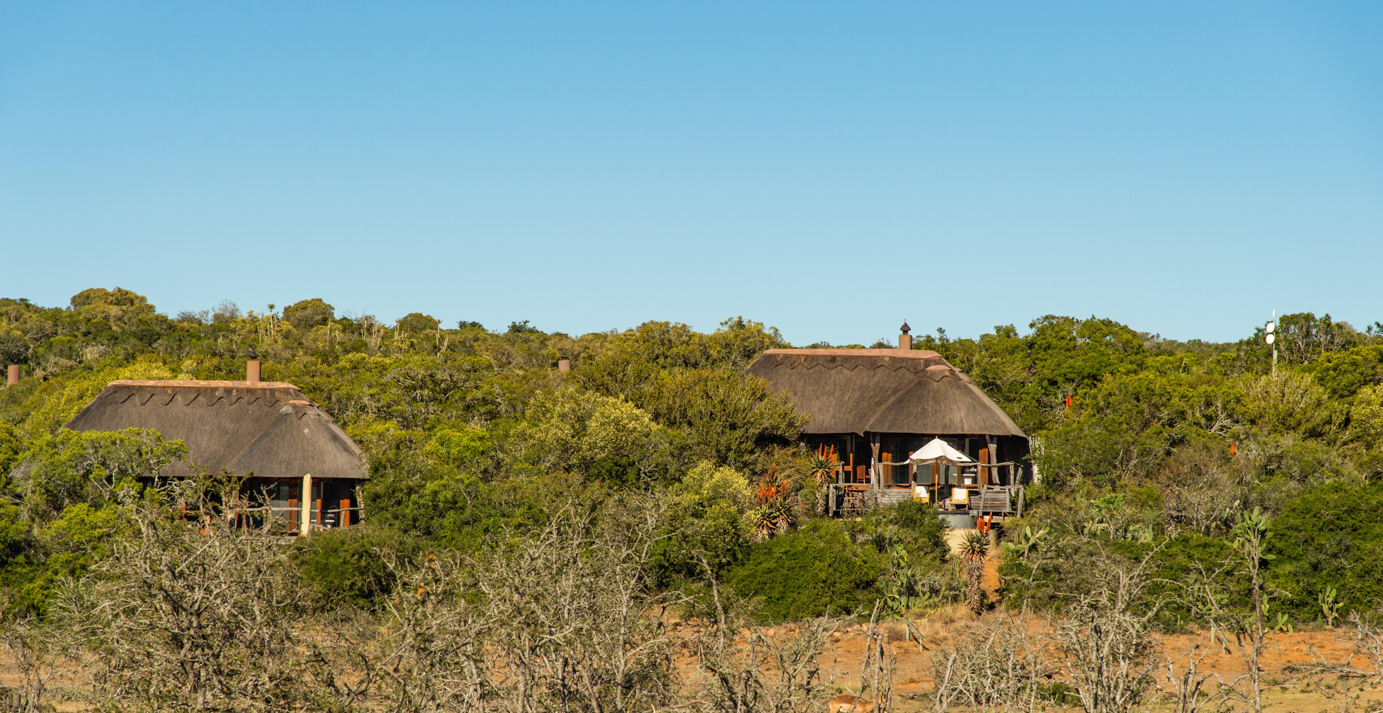 Pumba Private Game Reserve Port Elizabeth Dış mekan fotoğraf