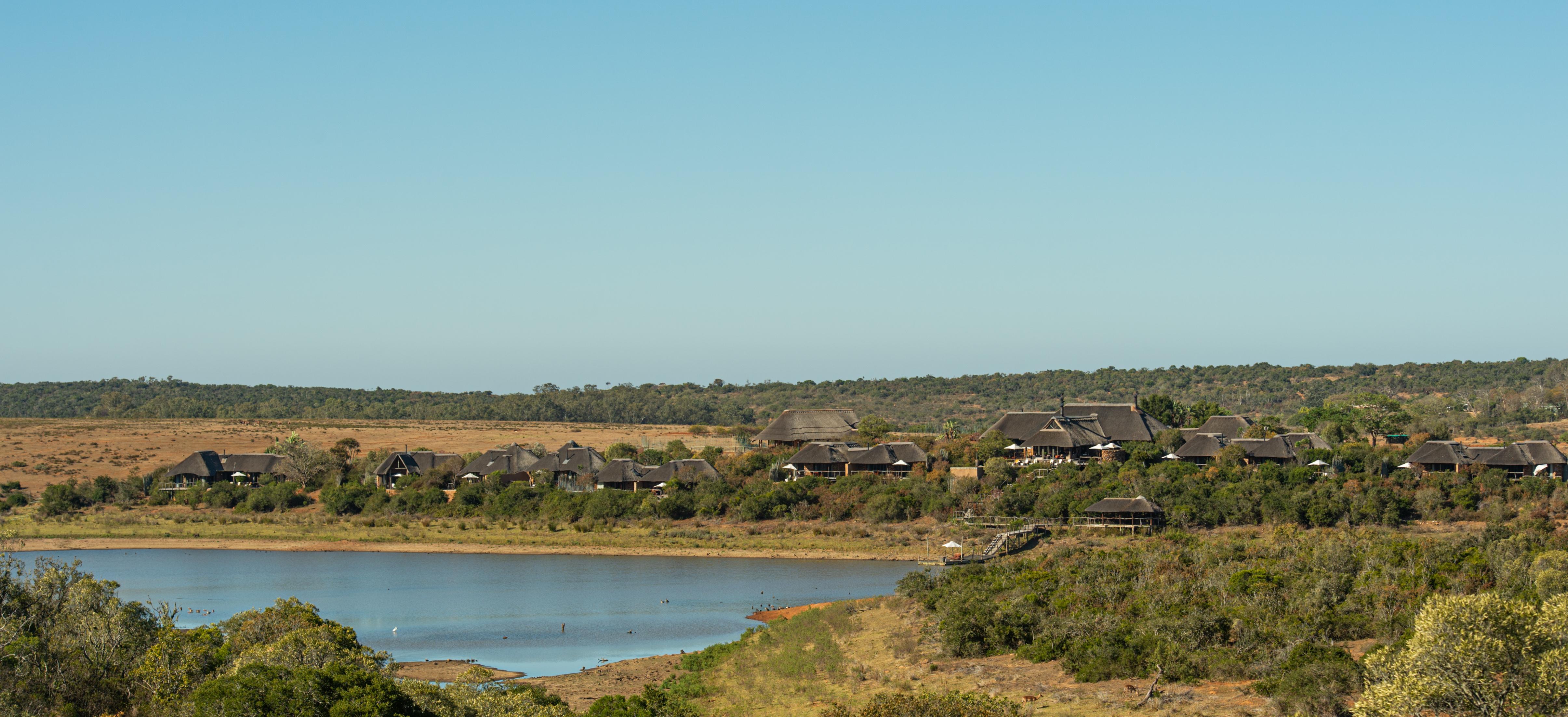 Pumba Private Game Reserve Port Elizabeth Dış mekan fotoğraf