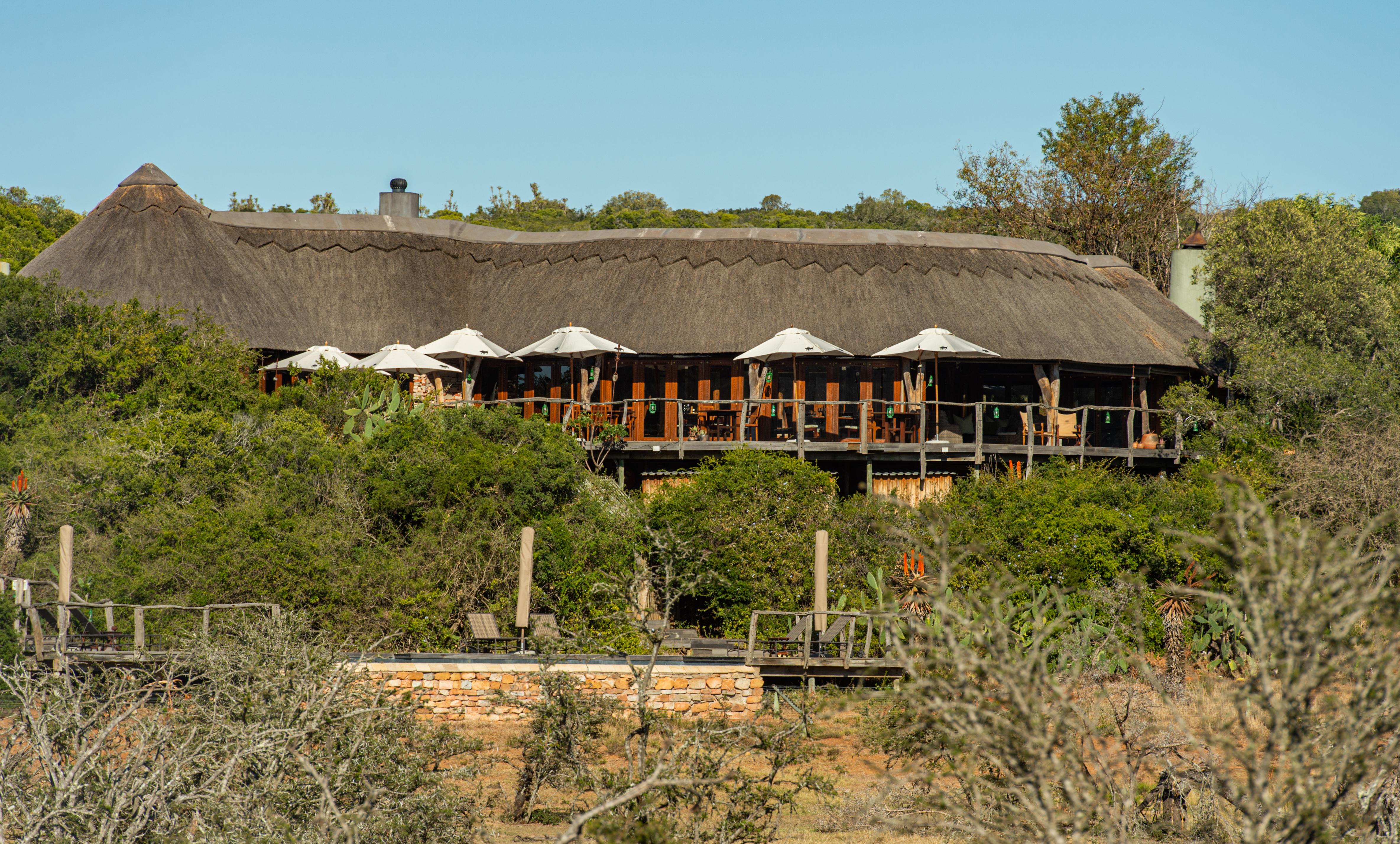Pumba Private Game Reserve Port Elizabeth Dış mekan fotoğraf