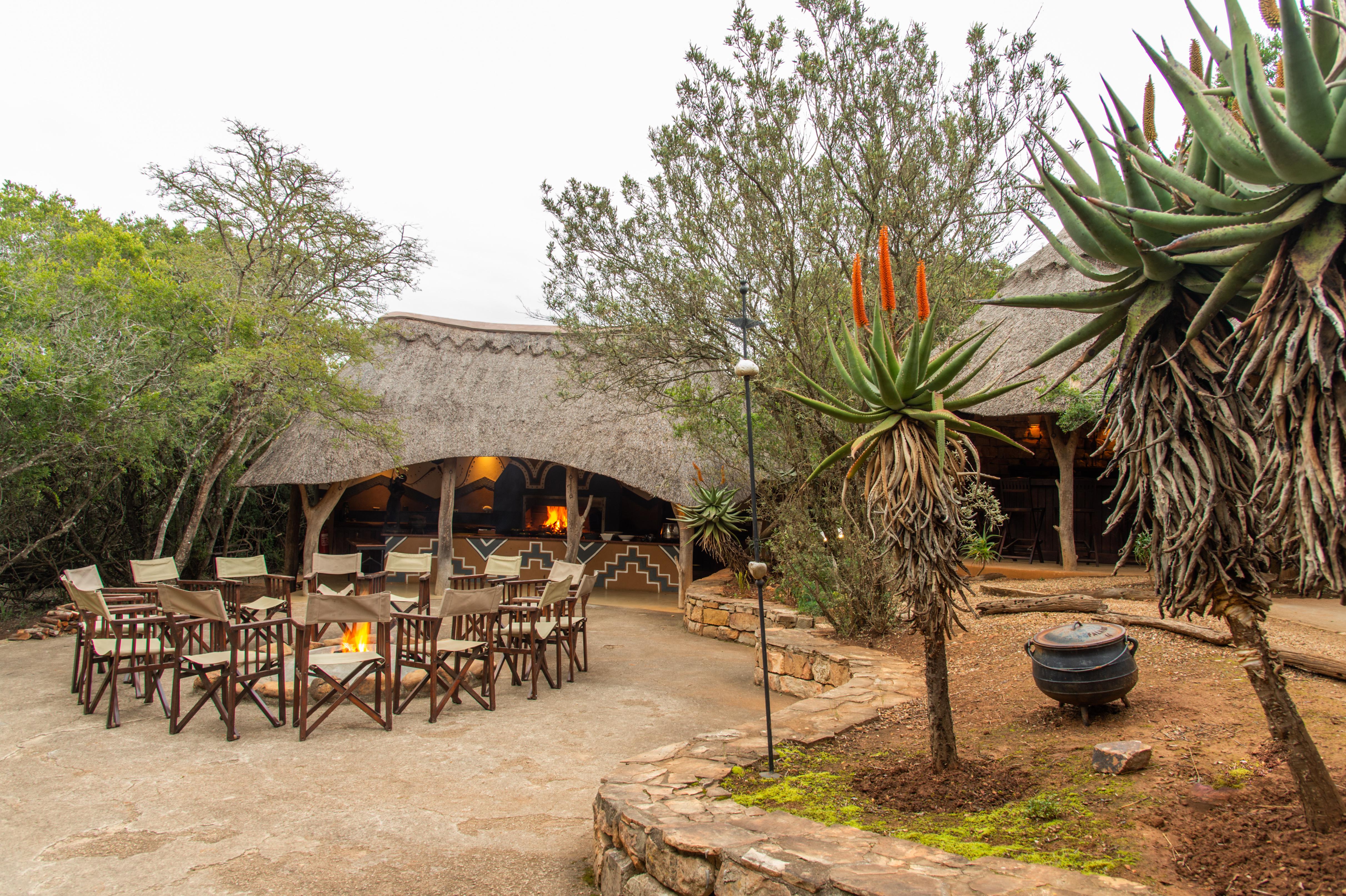 Pumba Private Game Reserve Port Elizabeth Dış mekan fotoğraf